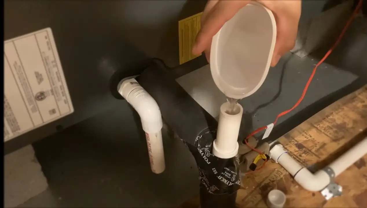 pouring vinegar in the drain line
